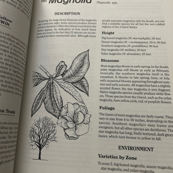 Rodale’s Landscape Problem Solver Guide - Picture 9 of 9